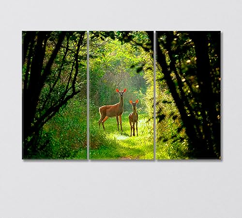 White Tailed Deer with a Fawn in the Forest Canvas Print 1 Panel / 36x24 inches