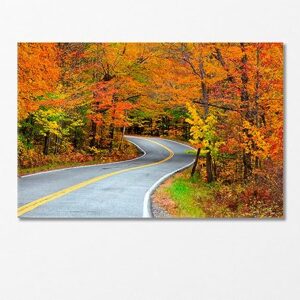 Road to Vermouth USA Autumn Landscape Canvas Print 5 Panels / 36x24 inches