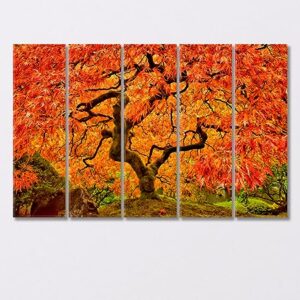 Japanese Maple in Autumn Canvas Print 5 Panels / 36x24 inches