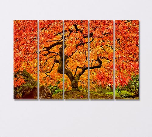 Japanese Maple in Autumn Canvas Print 5 Panels / 36x24 inches