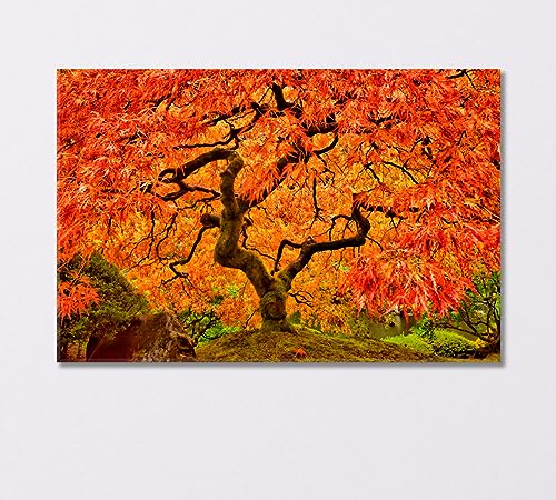 Japanese Maple in Autumn Canvas Print 5 Panels / 36x24 inches