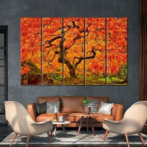 Japanese Maple in Autumn Canvas Print 5 Panels / 36x24 inches