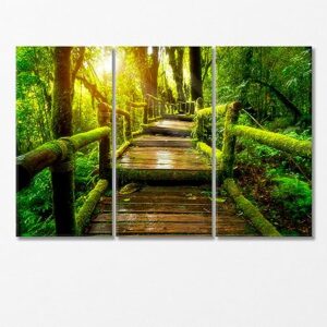 Old Wooden Bridge in Doi Inthanon National Park Thailand Canvas Print 3 Panels / 36x24 inches