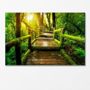 Old Wooden Bridge in Doi Inthanon National Park Thailand Canvas Print 3 Panels / 36x24 inches