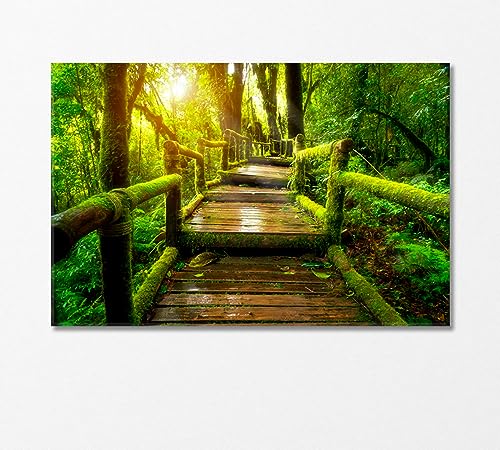Old Wooden Bridge in Doi Inthanon National Park Thailand Canvas Print 3 Panels / 36x24 inches
