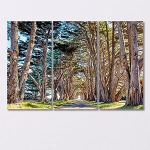 Tree Tunnel at California USA Canvas Print 3 Panels / 36x24 inches