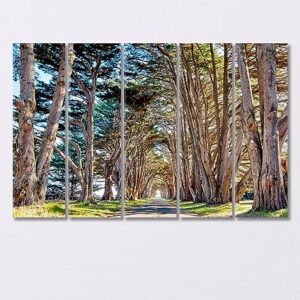 Tree Tunnel at California USA Canvas Print 3 Panels / 36x24 inches