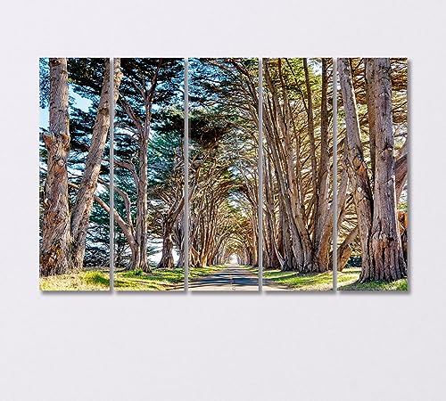 Tree Tunnel at California USA Canvas Print 3 Panels / 36x24 inches