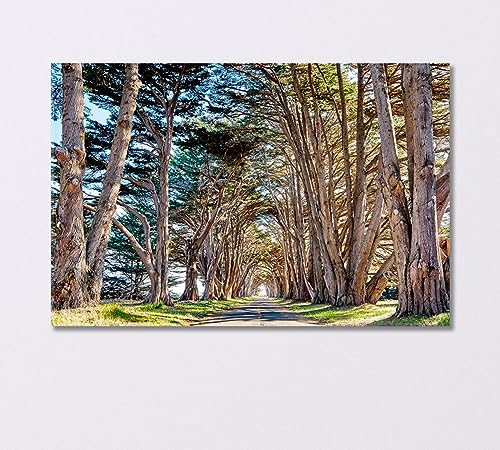 Tree Tunnel at California USA Canvas Print 3 Panels / 36x24 inches