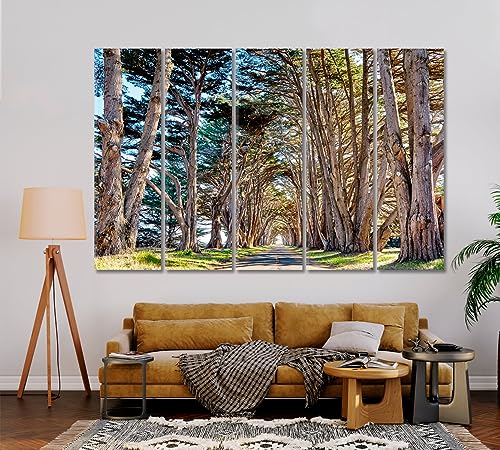 Tree Tunnel at California USA Canvas Print 3 Panels / 36x24 inches