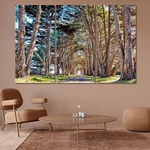 Tree Tunnel at California USA Canvas Print 3 Panels / 36x24 inches