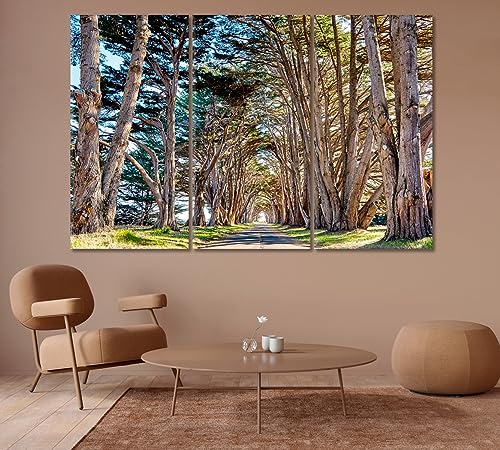 Tree Tunnel at California USA Canvas Print 3 Panels / 36x24 inches