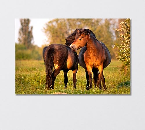 Pair of Exmoor Ponies Canvas Print 1 Panel / 36x24 inches