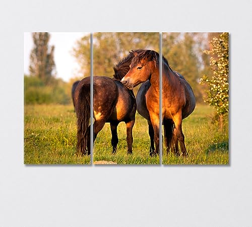 Pair of Exmoor Ponies Canvas Print 1 Panel / 36x24 inches