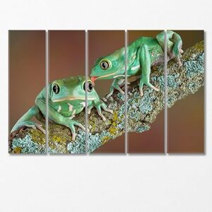 Pair of Wax Frogs Canvas Print 5 Panels / 36x24 inches