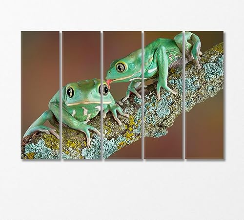 Pair of Wax Frogs Canvas Print 5 Panels / 36x24 inches