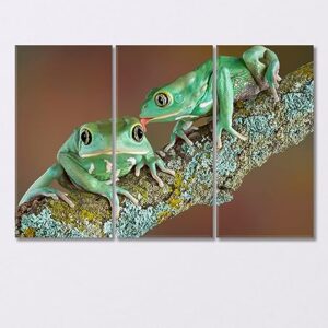 Pair of Wax Frogs Canvas Print 5 Panels / 36x24 inches