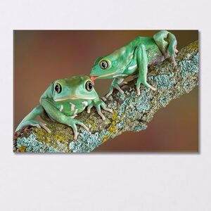 Pair of Wax Frogs Canvas Print 5 Panels / 36x24 inches