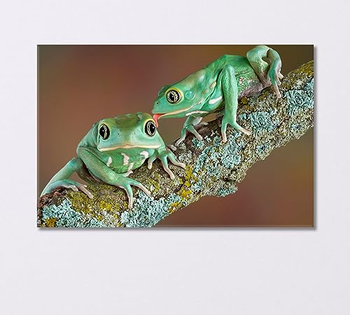 Pair of Wax Frogs Canvas Print 5 Panels / 36x24 inches