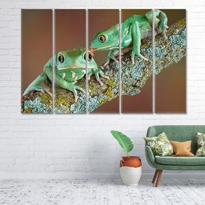 Pair of Wax Frogs Canvas Print 5 Panels / 36x24 inches