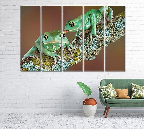Pair of Wax Frogs Canvas Print 5 Panels / 36x24 inches