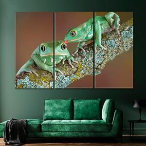 Pair of Wax Frogs Canvas Print 5 Panels / 36x24 inches