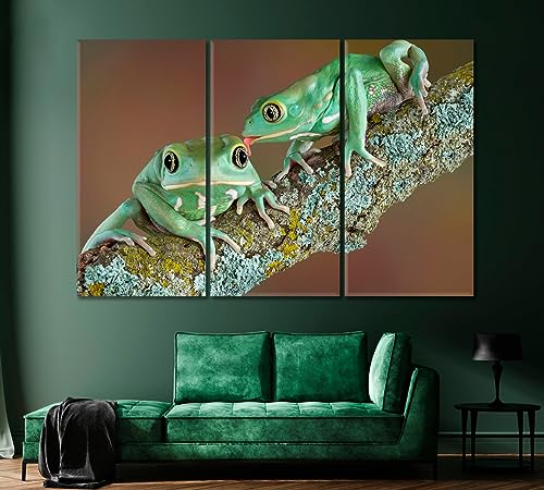 Pair of Wax Frogs Canvas Print 5 Panels / 36x24 inches