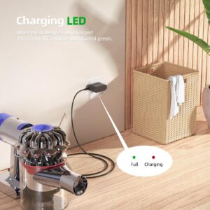 30.45V Charging Fit for Dyson V10 V11 Charger - (Replacement for Dyson V10 V11 V12 V15 Cordless Vacuum)