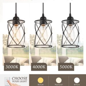 Osimir Industrial Pendant Light, 2 Pack Mini Glass Pendant Light for Kitchen, Cage Pendant Lighting in Black Finish with Clear Glass, Adjustable Length, CH9176-1-2PK