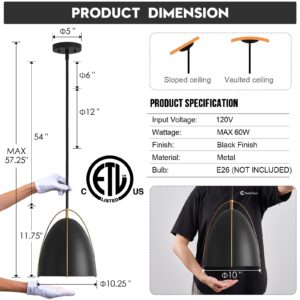 FookChak Black Dome Pendant Light 10in 1-Light Kitchen Pendant Lighting Egg-Shaped Black Gold Pendant Light Fixture for Kitchen Island, Dining Room,Kitchen Sink,Bar,10inԺåE26