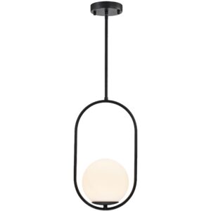 Black Pendant Light Fixtures Globe Pendant Lights Kitchen Island Modern Pendant Lighting Fixtures 1-Light