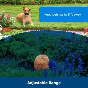 PetSafe Pawz Away Outdoor Pet Barrier for Cats and Dogs - Keeps Pets Out of Landscaping, Pools, Gardens, Water Features - Static Correction - Waterproof - Pet Proof Areas in Your Yard,Tan / Black