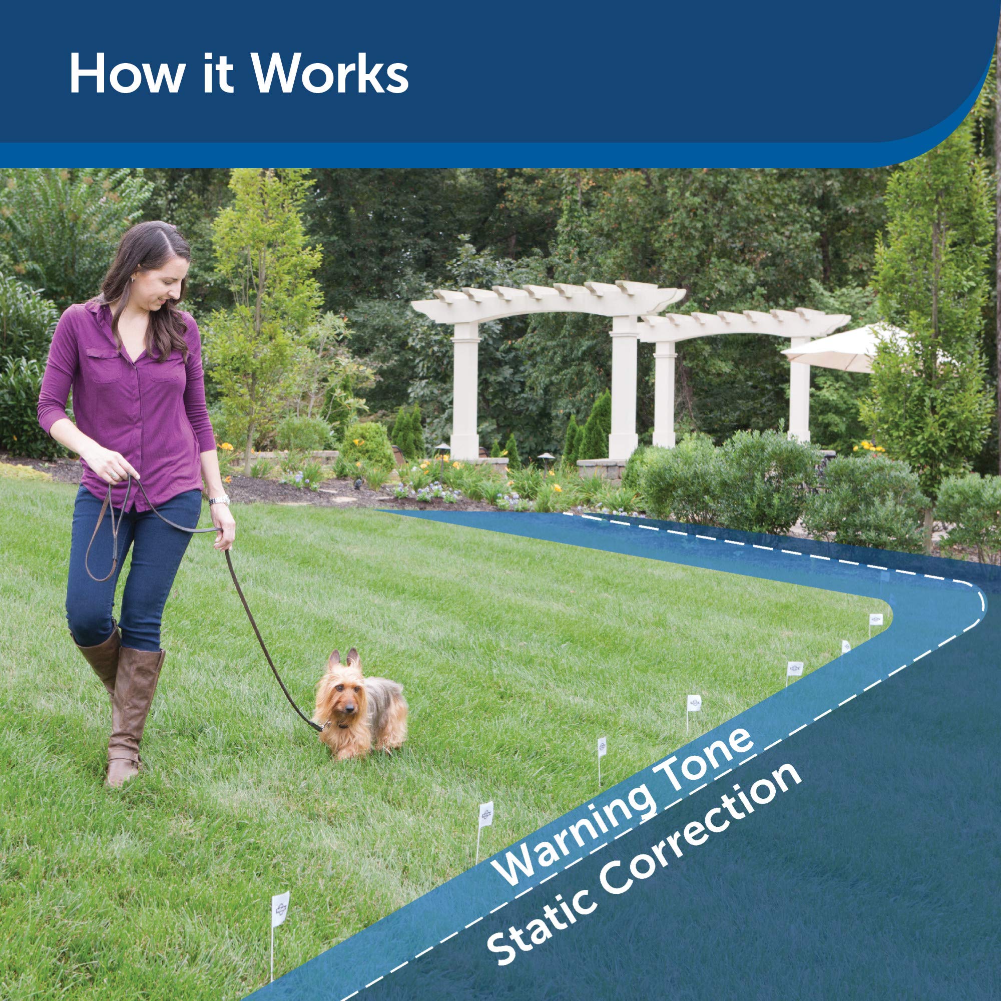 PetSafe Elite Little Dog In-Ground Pet Fence for Dogs and Cats Over 5 lb., Waterproof, with Tone and Static Correction - from The Parent Company of Invisible Fence Brand