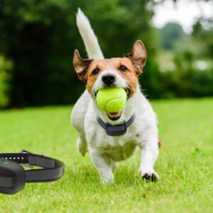 WIEZ GPS Wireless Dog Fence, Electric Dog Fence with GPS, Range 100-3300 ft, Adjustable Warning Strength, Rechargeable, Pet Containment System, Harmless and Suitable for All Dogs