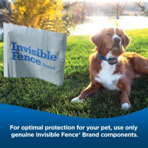 Invisible Fence Power Cap Batteries for MicroLite and MicroLite Plus Computer Collar Units – Also compatible with MaxDog and MaxDog Plus Dog Collars - 1 Pack