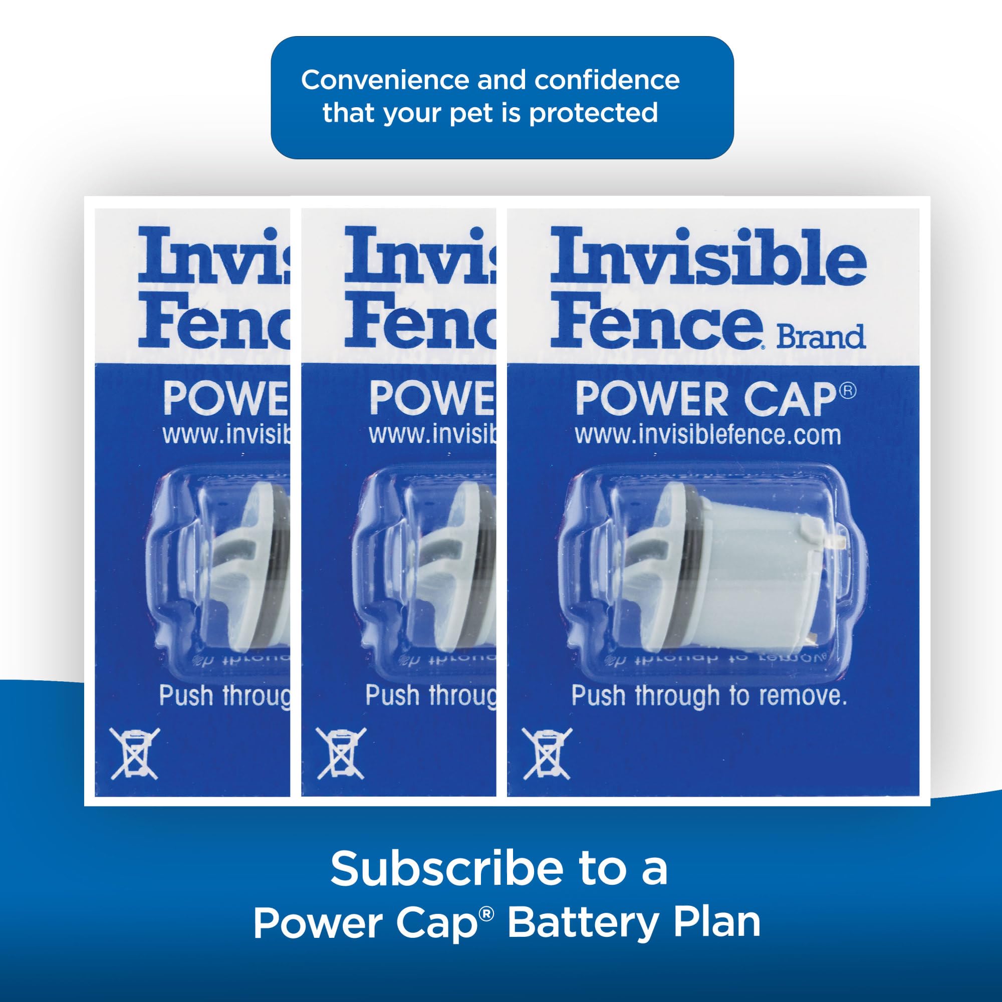 Invisible Fence Power Cap Batteries for MicroLite and MicroLite Plus Computer Collar Units – Also compatible with MaxDog and MaxDog Plus Dog Collars - 1 Pack