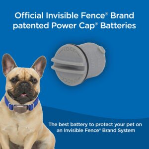 Invisible Fence Power Cap Batteries for MicroLite and MicroLite Plus Computer Collar Units – Also compatible with MaxDog and MaxDog Plus Dog Collars - 1 Pack
