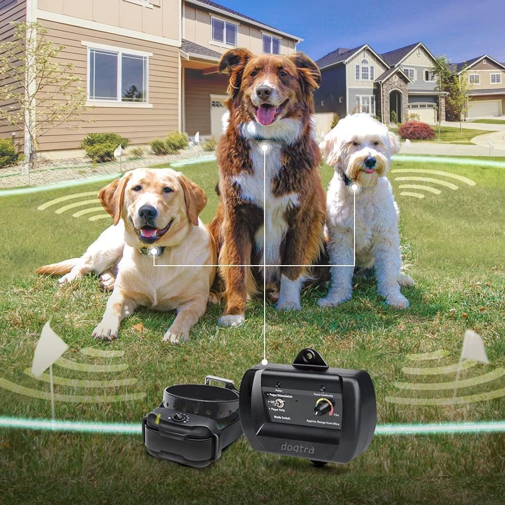 Dogtra E-Fence 3500 In Ground Fence for Dogs Wireless Rechargeable Collar 40-Acre Vibration Outdoor Underground Wire Electric Dog Fence