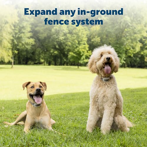 PetSafe Fence Wire and Flag Kit, Includes 50 boundary Flags and 500 ft of Wire, Expand your In-Ground Fence