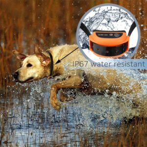 Wireless Dog Fence, Pet Electric Containment System, Safe Effective Beep & Shock Dog Fence with Waterproof Collar, Adjustable Control Range & Display Distance,Electric Pet Fence,for3dogs