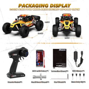 RIAARIO 1:12 RTR Brushless RC Desert Cars for Adults, Max 45MPH Fast RC Cars, Monster Truck with Independent ESC, 4X4 RC Truck for Boys, All Terrain Remote Control Car with Oil Filled Shocks(Yellow)