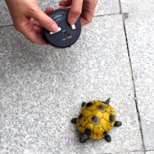 Tipmant RC Turtle IR Remote Control Tortoise Crawl Fake Electric Animal Toy Car Vehicle for Kids Birthday Gifts (Brown)