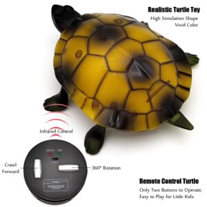 Tipmant RC Turtle IR Remote Control Tortoise Crawl Fake Electric Animal Toy Car Vehicle for Kids Birthday Gifts (Brown)