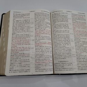 Santa Biblia Version Antigua 1909 Letra Gigante Piel Negra Con Indice