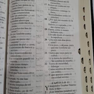 Santa Biblia Version Antigua 1909 Letra Gigante Piel Negra Con Indice