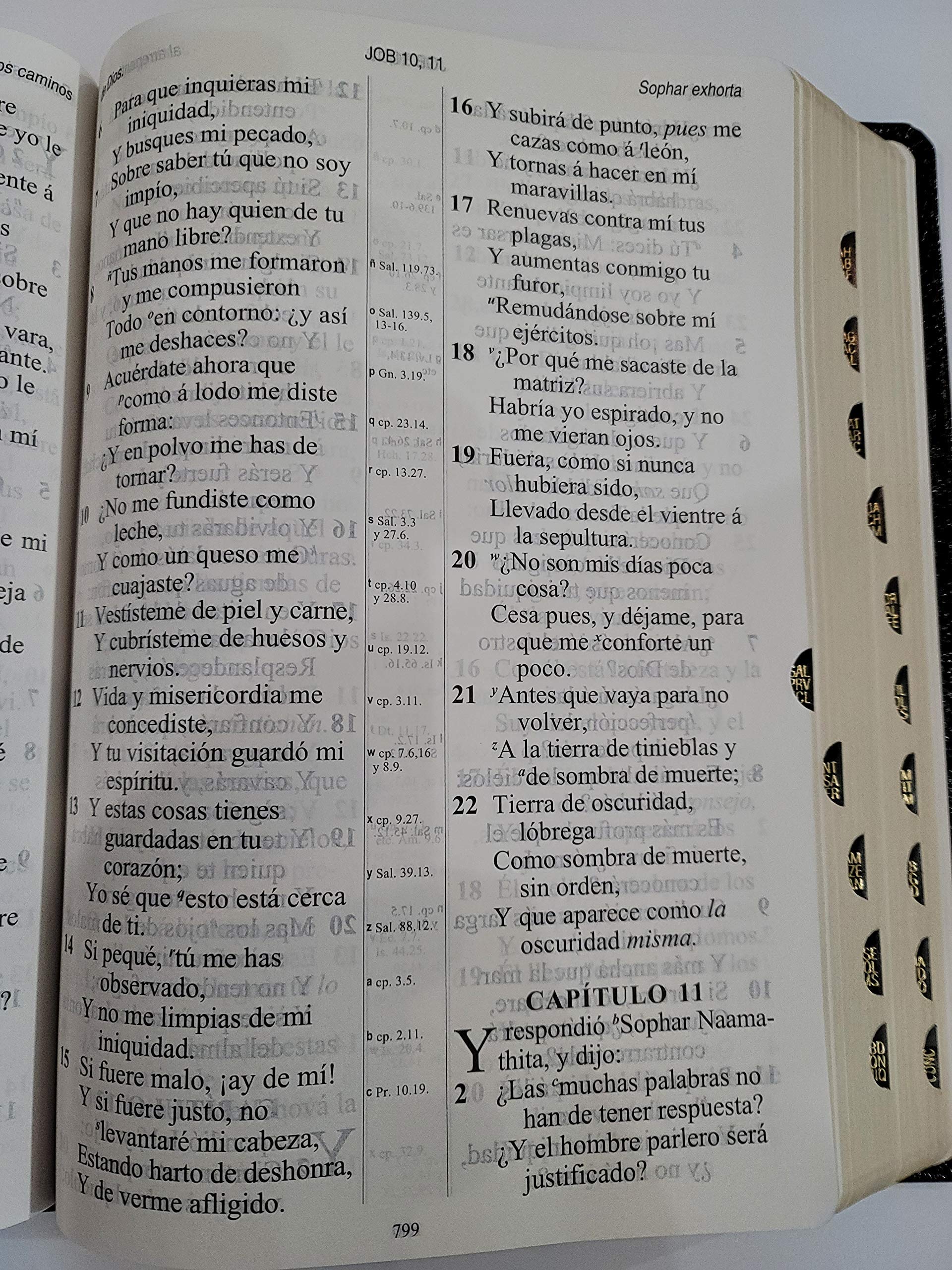 Santa Biblia Version Antigua 1909 Letra Gigante Piel Negra Con Indice