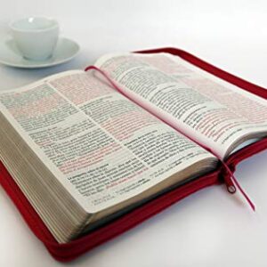 Biblia Reina Valera 1960 letra grande. Símil piel fucsia, cremallera, tamaño manual / Spanish Holy Bible RVR 1960. Handy Size, Large Print, Leathersoft, Zipp