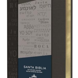 Biblia RVR 1960 letra grande tamaño manual, simil piel gris con nombres de Dios / Spanish Bible RVR 1960 Handy Size Large Print Leathersoft Grey, Names of god