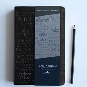 Biblia RVR 1960 letra grande tamaño manual, simil piel gris con nombres de Dios / Spanish Bible RVR 1960 Handy Size Large Print Leathersoft Grey, Names of god