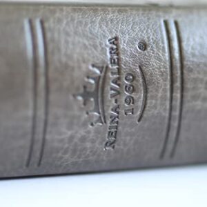 Biblia RVR 1960 letra grande tamaño manual, simil piel gris con nombres de Dios / Spanish Bible RVR 1960 Handy Size Large Print Leathersoft Grey, Names of god